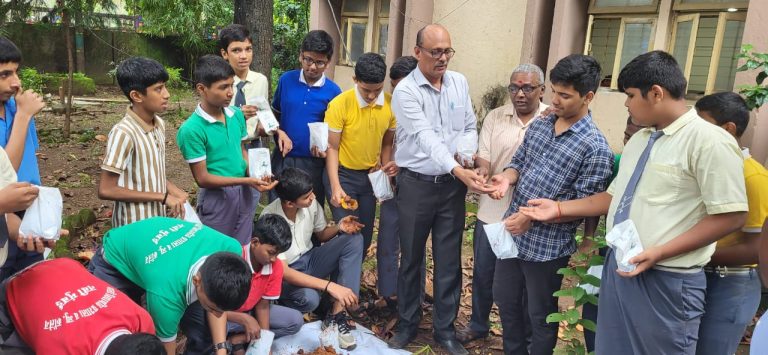 WhatsApp Image 2025-12-17 at 4.09.00 PM (1)